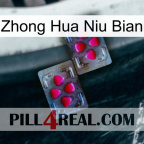 Zhong Hua Niu Bian 15